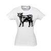 Ice Womens Short Sleeve Tee Thumbnail