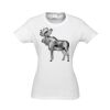 Ice Womens Short Sleeve Tee Thumbnail
