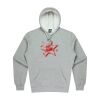AP - TORQUAY HOODIES - 1525 Thumbnail